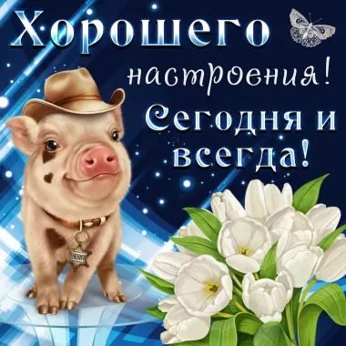 Открытка с пожеланиями Поздравление, красивое пожелание  стильно, прикольно, коротко, своими словами