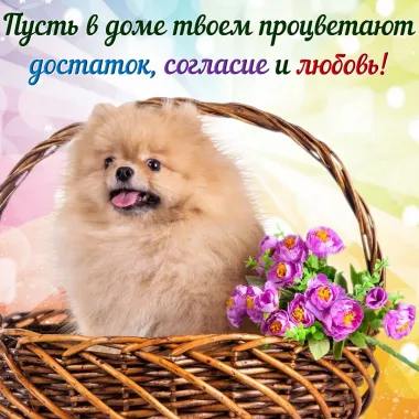 Открытка с пожеланиями Поздравление, красивое пожелание Пусть стильно, прикольно, коротко, своими словами