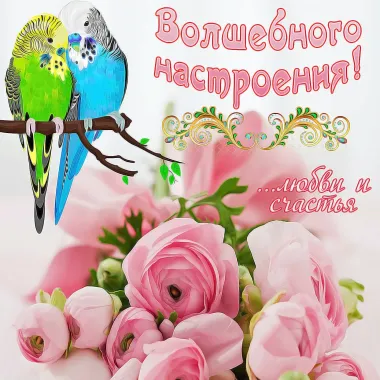 Открытка с пожеланиями Поздравление, красивое пожелание  стильно, прикольно, коротко, своими словами