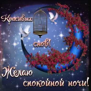 Открытка с пожеланиями Спокойной ночи