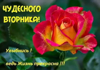 Открытка с пожеланиями Вторник