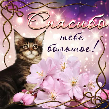 Открытка с пожеланиями Спасибо