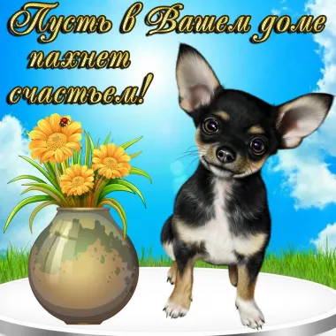 Открытка с пожеланиями Поздравление, красивое пожелание Пусть в доме стильно, прикольно, коротко, своими словами