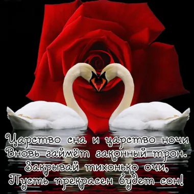 Открытка с пожеланиями Спокойной ночи