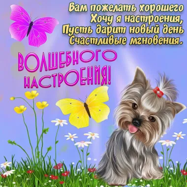 Открытка с пожеланиями Поздравление, красивое пожелание  стильно, прикольно, коротко, своими словами