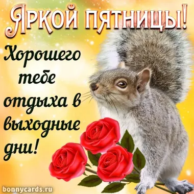 Открытка с пожеланиями Поздравление, красивое пожелание  стильно, прикольно, коротко, своими словами