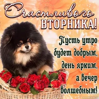 Открытка с пожеланиями Вторник