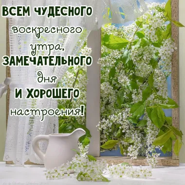 Открытка с пожеланиями Воскресенье