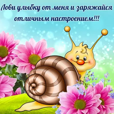 Открытка с пожеланиями Поздравление, красивое пожелание Лови улыбку стильно, прикольно, коротко, своими словами