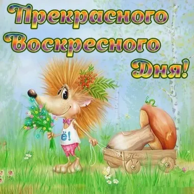 Открытка с пожеланиями Воскресенье