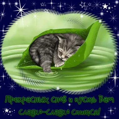 Открытка с пожеланиями Спокойной ночи