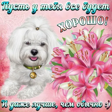 Открытка с пожеланиями Поздравление, красивое пожелание Пусть у тебя все стильно, прикольно, коротко, своими словами