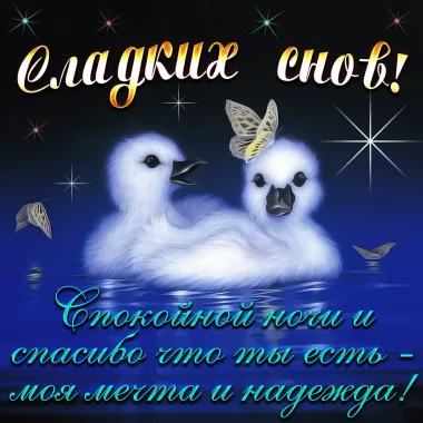 Открытка с пожеланиями Спокойной ночи