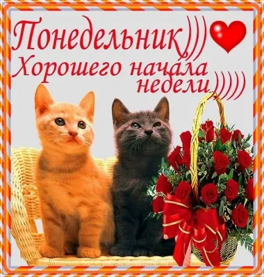 Открытка с пожеланиями Поздравление, красивое пожелание Понедельник. Хорошего стильно, прикольно, коротко, своими словами