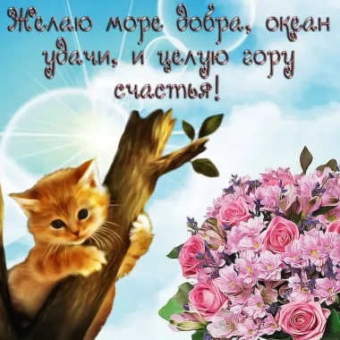 Открытка с пожеланиями Поздравление, красивое пожелание Желаю стильно, прикольно, коротко, своими словами