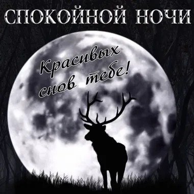 Открытка с пожеланиями Спокойной ночи