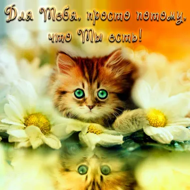 Открытка с пожеланиями Поздравление, красивое пожелание  стильно, прикольно, коротко, своими словами