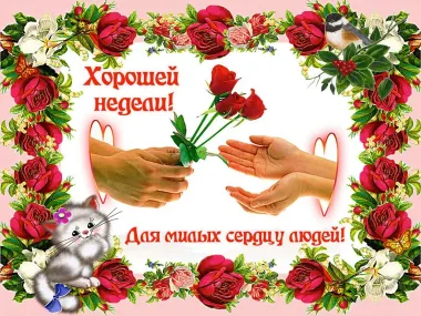 Открытка с пожеланиями Поздравление, красивое пожелание Открытк яркая с пожеланием стильно, прикольно, коротко, своими словами