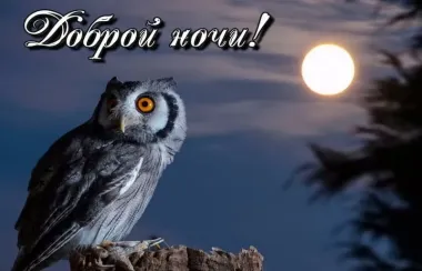 Открытка с пожеланиями Спокойной ночи