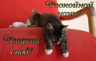 Открытка с пожеланиями Спокойной ночи