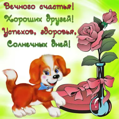 Открытка с пожеланиями Поздравление, красивое пожелание  стильно, прикольно, коротко, своими словами