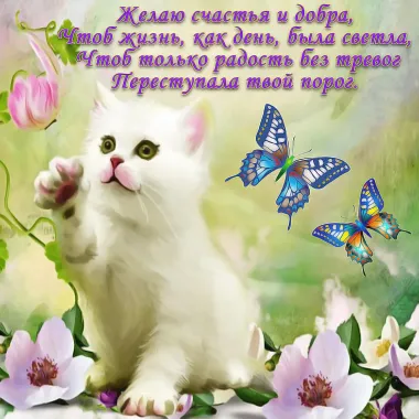 Открытка с пожеланиями Красивые пожелания