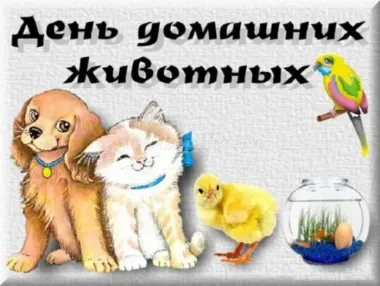 Открытка с пожеланиями Поздравление, красивое пожелание Открытка Всемирный день стильно, прикольно, коротко, своими словами