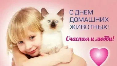 Открытка с пожеланиями Поздравление, красивое пожелание Открытка день стильно, прикольно, коротко, своими словами