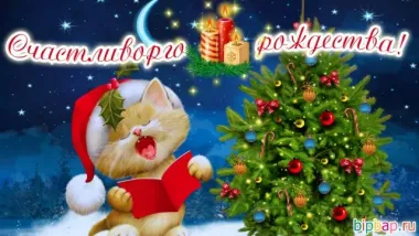 Открытка с пожеланиями Поздравление, красивое пожелание  стильно, прикольно, коротко, своими словами