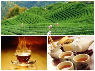 Открытка с пожеланиями Поздравление, красивое пожелание Международный стильно, прикольно, коротко, своими словами