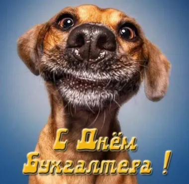 Открытка с пожеланиями Поздравление, красивое пожелание Открытка смешная с стильно, прикольно, коротко, своими словами