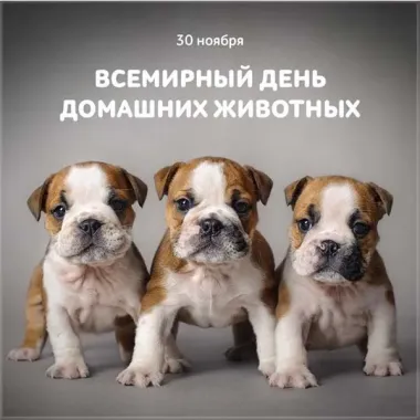 Открытка с пожеланиями Поздравление, красивое пожелание Поздравляем с днем стильно, прикольно, коротко, своими словами