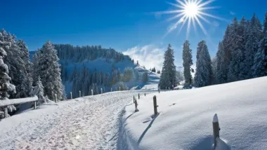 Открытка с пожеланиями Поздравление, красивое пожелание Картинка день стильно, прикольно, коротко, своими словами