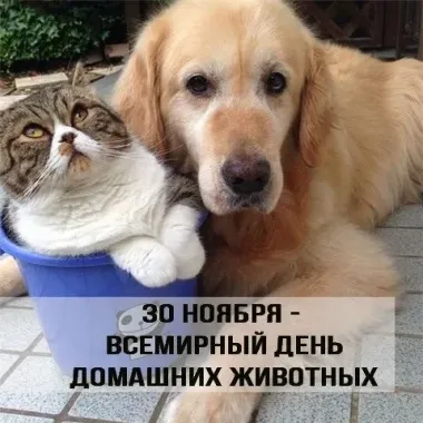 Открытка с пожеланиями Поздравление, красивое пожелание С днем стильно, прикольно, коротко, своими словами