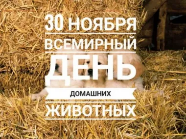 Открытка с пожеланиями Поздравление, красивое пожелание Всемирный день стильно, прикольно, коротко, своими словами