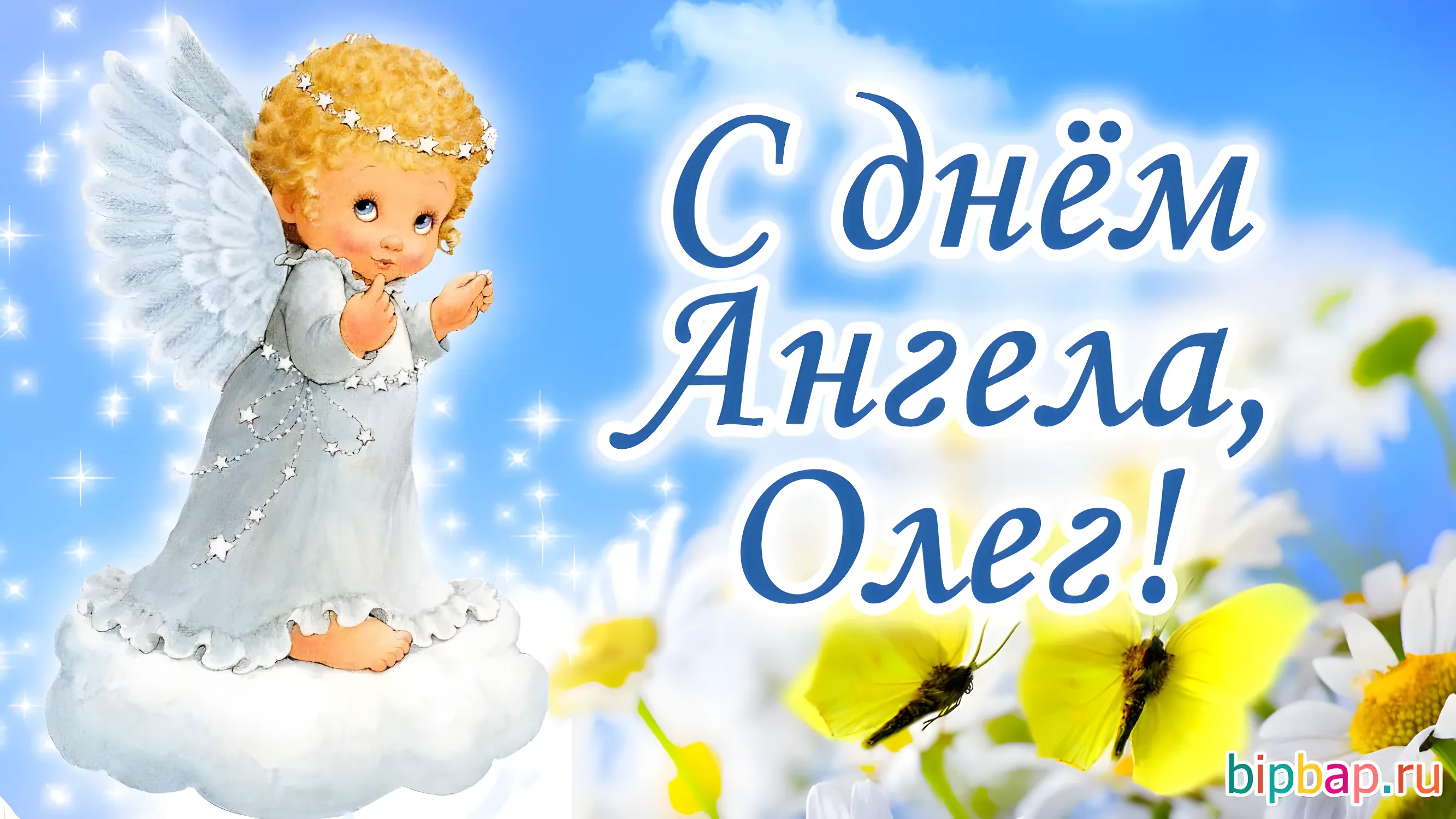 Коллекция Олег