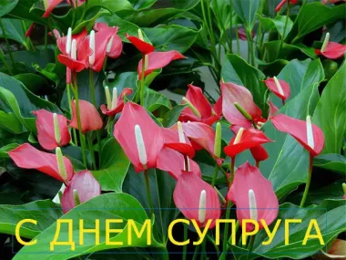 Открытка с пожеланиями Поздравление, красивое пожелание Открытка с стильно, прикольно, коротко, своими словами