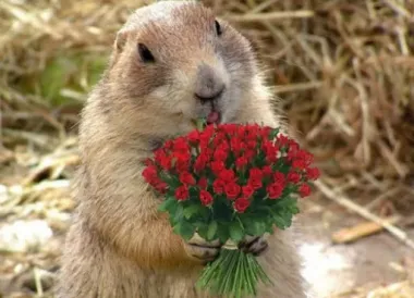 Открытка с пожеланиями Поздравление, красивое пожелание  стильно, прикольно, коротко, своими словами