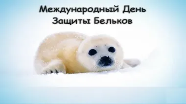 Открытка с пожеланиями Поздравление, красивое пожелание Открытка международный день стильно, прикольно, коротко, своими словами