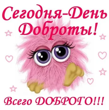 Открытка с пожеланиями Поздравление, красивое пожелание С Днем спонтанного стильно, прикольно, коротко, своими словами