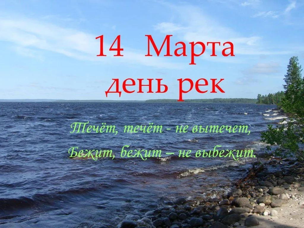 Открытка с пожеланиями Поздравление, красивое пожелание Открытка международный стильно, прикольно, коротко, своими словами