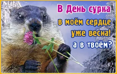 Открытка с пожеланиями Поздравление, красивое пожелание Поздравления в стильно, прикольно, коротко, своими словами