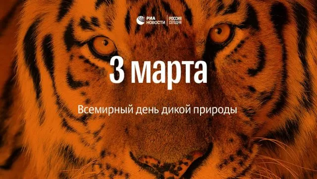 Открытка с пожеланиями Поздравление, красивое пожелание Картинка Всемирный день стильно, прикольно, коротко, своими словами