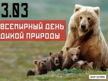 Открытка с пожеланиями Поздравление, красивое пожелание Открытка Всемирный день стильно, прикольно, коротко, своими словами