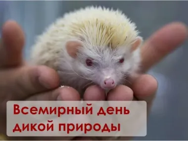 Открытка с пожеланиями Поздравление, красивое пожелание Открытка с поздравлениями в День стильно, прикольно, коротко, своими словами