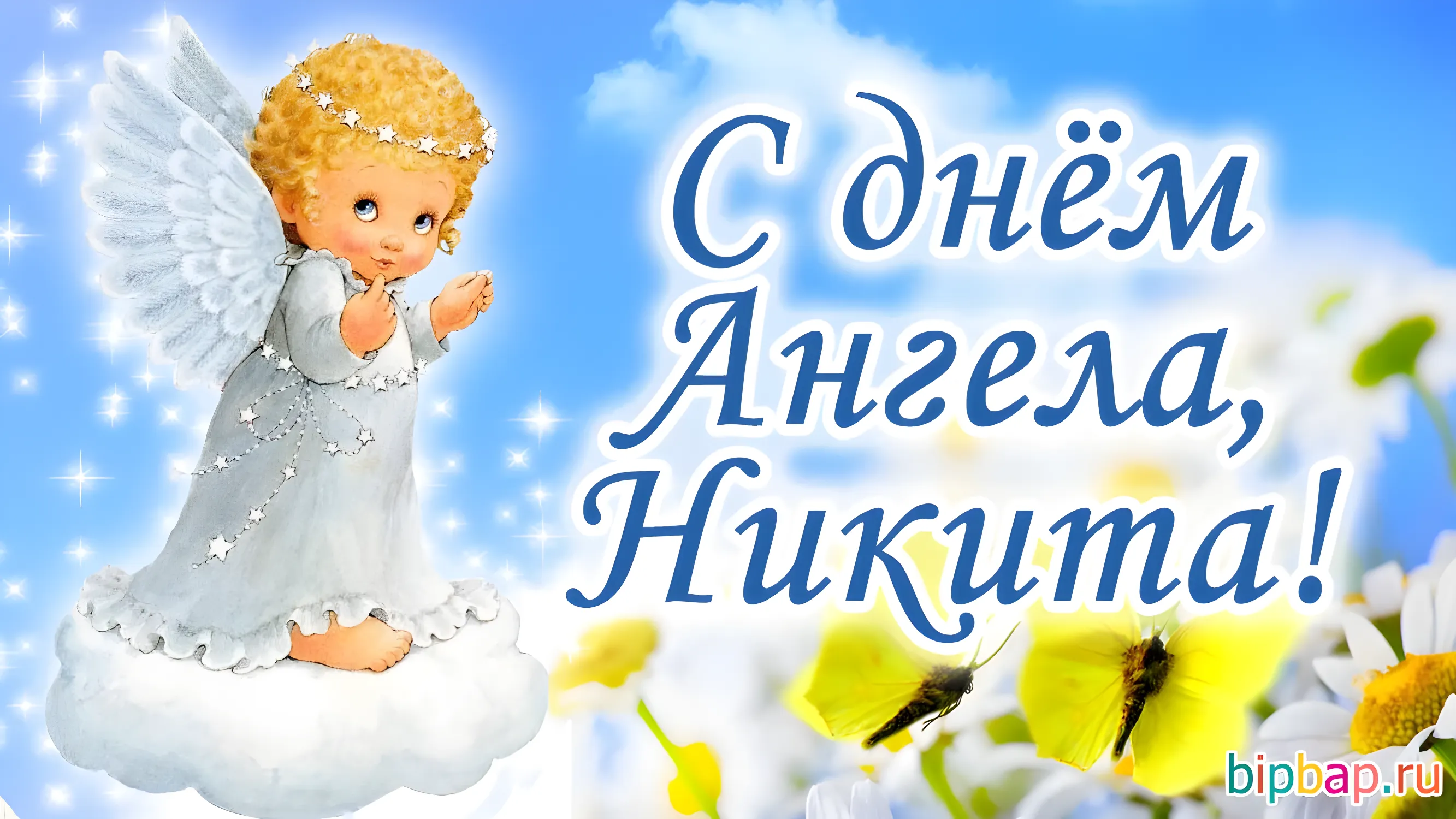 Коллекция Никита